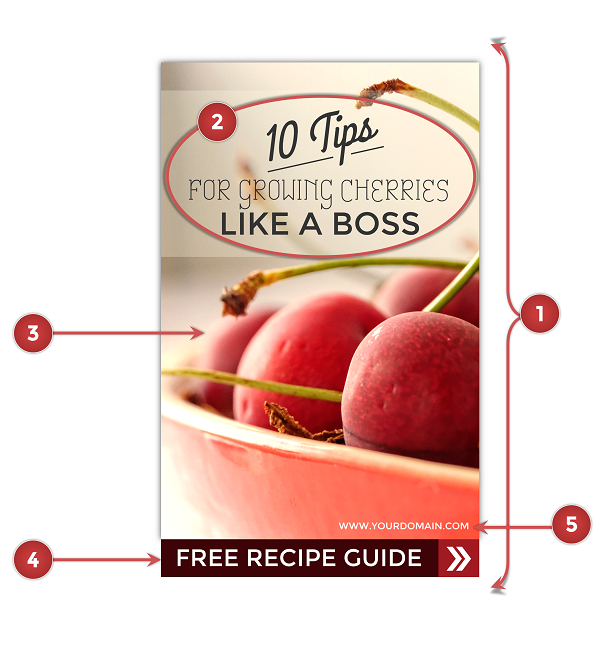 The Anatomy of A Shareable Image