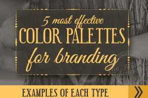 The 5 Most Effective Types of Color Palettes For Branding