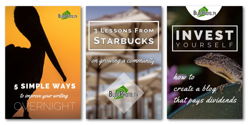 A Blogger's Guide To Branding Images