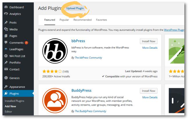 A Newbie's Guide To Setting Up A WordPress Website
