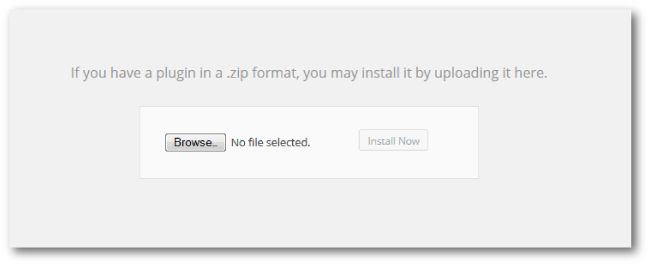 A Newbie's Guide To Setting Up A WordPress Website