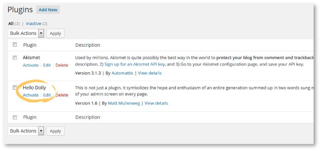 A Newbie's Guide To Setting Up A WordPress Website