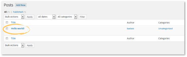 A Newbie's Guide To Setting Up A WordPress Website