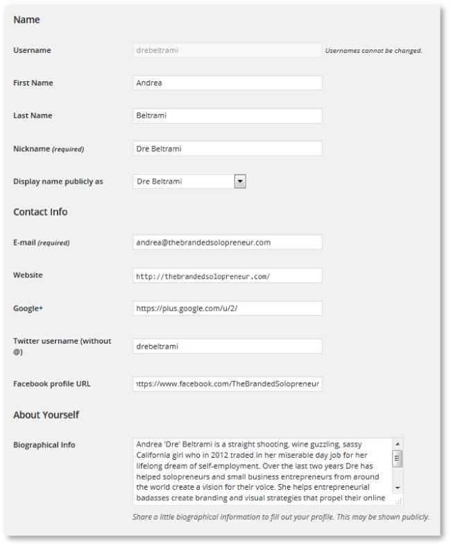 A Newbie's Guide To Setting Up A WordPress Website